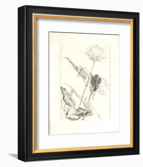 Deux roses-Avigdor Arikha-Framed Collectable Print