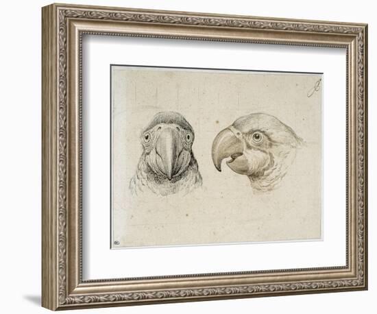 Deux t?s de perroquets-Charles Le Brun-Framed Giclee Print