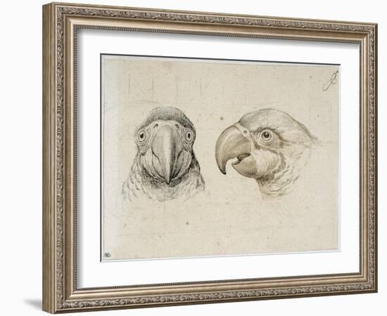 Deux t?s de perroquets-Charles Le Brun-Framed Giclee Print