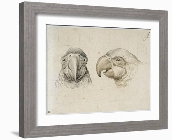 Deux t?s de perroquets-Charles Le Brun-Framed Giclee Print