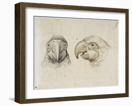 Deux t?s de perroquets-Charles Le Brun-Framed Giclee Print