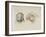 Deux t?s de perroquets-Charles Le Brun-Framed Giclee Print