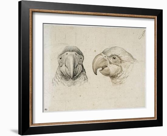 Deux t?s de perroquets-Charles Le Brun-Framed Giclee Print