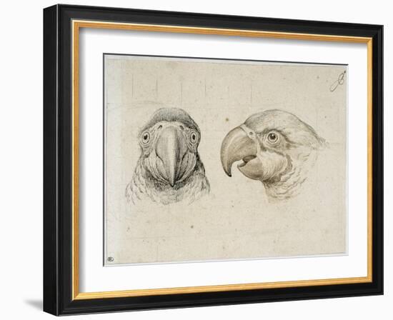 Deux t?s de perroquets-Charles Le Brun-Framed Giclee Print