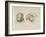 Deux t?s de perroquets-Charles Le Brun-Framed Giclee Print