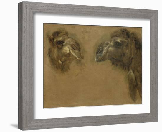 Deux têtes de dromadaires-Pieter Boel-Framed Giclee Print