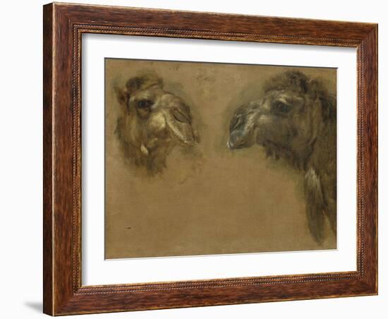 Deux têtes de dromadaires-Pieter Boel-Framed Giclee Print