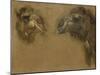 Deux têtes de dromadaires-Pieter Boel-Mounted Giclee Print