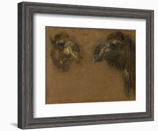 Deux têtes de dromadaires-Pieter Boel-Framed Giclee Print