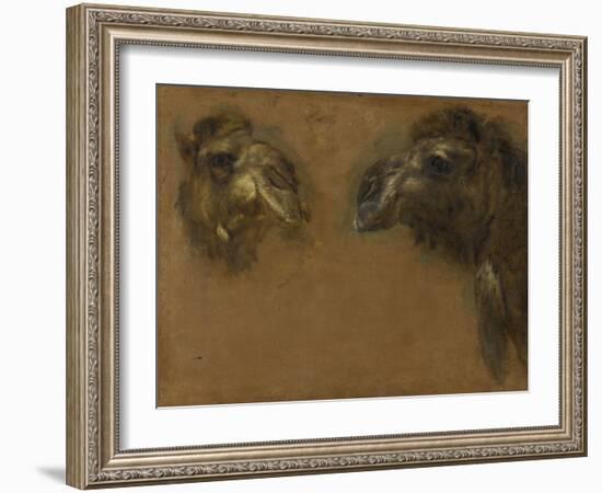 Deux têtes de dromadaires-Pieter Boel-Framed Giclee Print