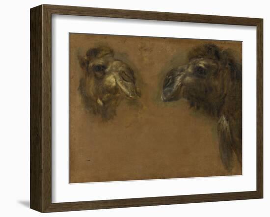 Deux têtes de dromadaires-Pieter Boel-Framed Giclee Print