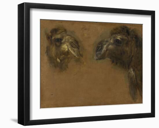 Deux têtes de dromadaires-Pieter Boel-Framed Giclee Print