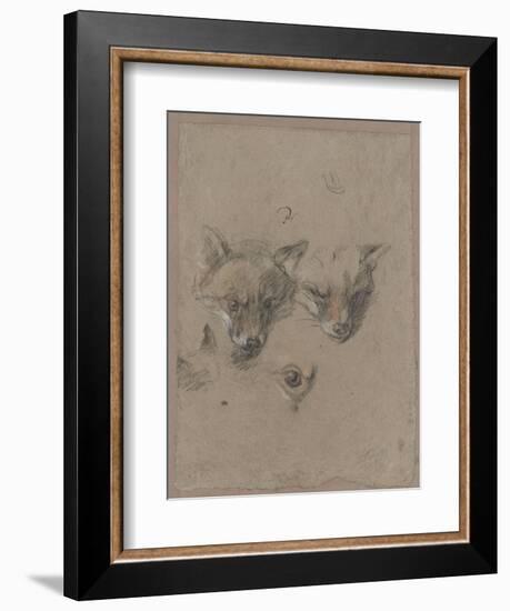 Deux têtes de renards et un oeil-Pieter Boel-Framed Giclee Print