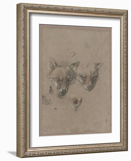 Deux têtes de renards et un oeil-Pieter Boel-Framed Giclee Print