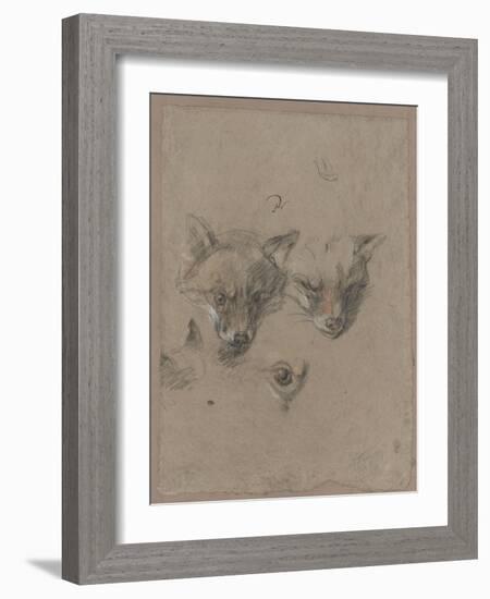 Deux têtes de renards et un oeil-Pieter Boel-Framed Giclee Print