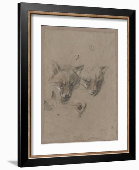 Deux têtes de renards et un oeil-Pieter Boel-Framed Giclee Print