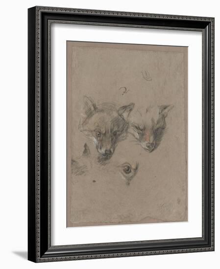 Deux têtes de renards et un oeil-Pieter Boel-Framed Giclee Print