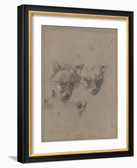 Deux têtes de renards et un oeil-Pieter Boel-Framed Giclee Print