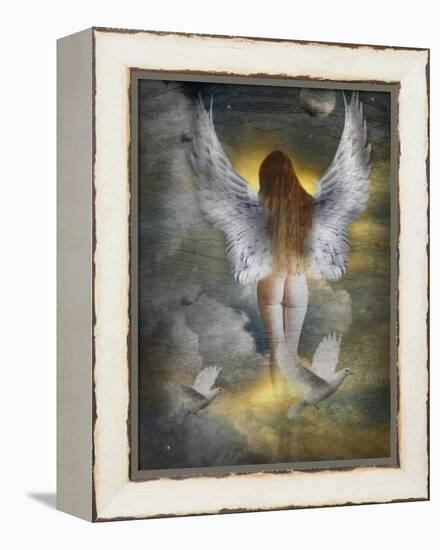 Devbridge-Lynne Davies-Framed Premier Image Canvas