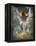 Devbridge-Lynne Davies-Framed Premier Image Canvas