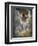 Devbridge-Lynne Davies-Framed Photographic Print