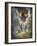 Devbridge-Lynne Davies-Framed Photographic Print