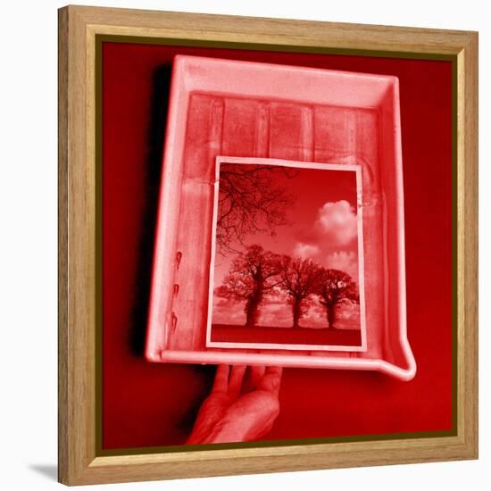 Developing Photograph-Victor De Schwanberg-Framed Premier Image Canvas