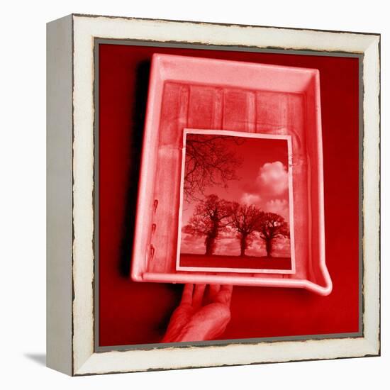 Developing Photograph-Victor De Schwanberg-Framed Premier Image Canvas