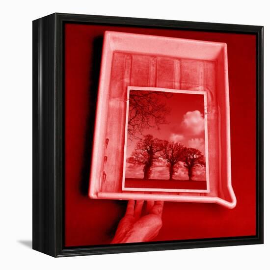 Developing Photograph-Victor De Schwanberg-Framed Premier Image Canvas