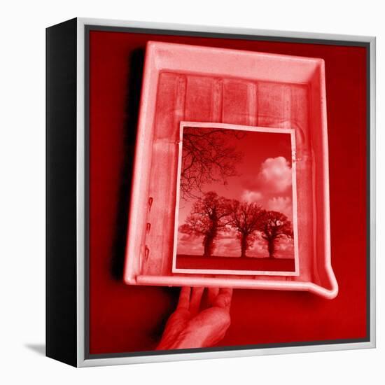 Developing Photograph-Victor De Schwanberg-Framed Premier Image Canvas