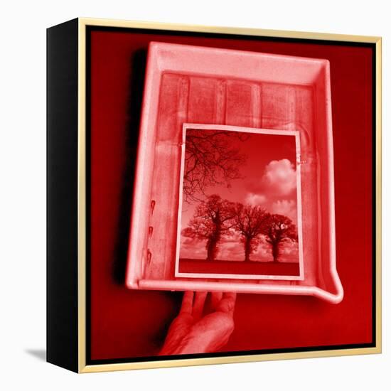 Developing Photograph-Victor De Schwanberg-Framed Premier Image Canvas