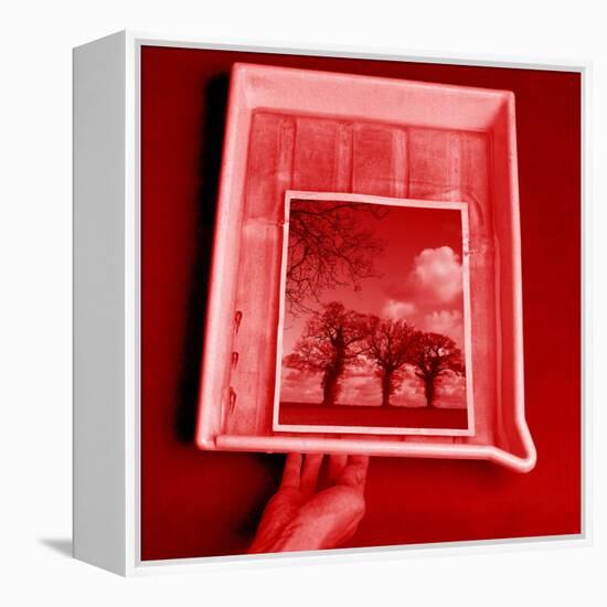 Developing Photograph-Victor De Schwanberg-Framed Premier Image Canvas