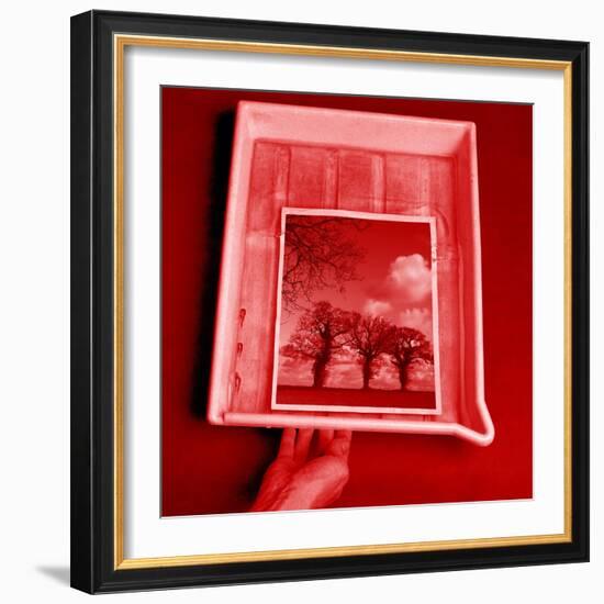 Developing Photograph-Victor De Schwanberg-Framed Premium Photographic Print