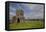 Devenish Island, Lower Lough Erne, County Fermanagh, Ulster, Northern Ireland, United Kingdom, Euro-Carsten Krieger-Framed Premier Image Canvas