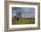 Devenish Island, Lower Lough Erne, County Fermanagh, Ulster, Northern Ireland, United Kingdom, Euro-Carsten Krieger-Framed Photographic Print