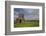 Devenish Island, Lower Lough Erne, County Fermanagh, Ulster, Northern Ireland, United Kingdom, Euro-Carsten Krieger-Framed Photographic Print