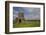 Devenish Island, Lower Lough Erne, County Fermanagh, Ulster, Northern Ireland, United Kingdom, Euro-Carsten Krieger-Framed Photographic Print