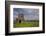 Devenish Island, Lower Lough Erne, County Fermanagh, Ulster, Northern Ireland, United Kingdom, Euro-Carsten Krieger-Framed Photographic Print