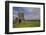 Devenish Island, Lower Lough Erne, County Fermanagh, Ulster, Northern Ireland, United Kingdom, Euro-Carsten Krieger-Framed Photographic Print