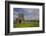 Devenish Island, Lower Lough Erne, County Fermanagh, Ulster, Northern Ireland, United Kingdom, Euro-Carsten Krieger-Framed Photographic Print