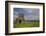 Devenish Island, Lower Lough Erne, County Fermanagh, Ulster, Northern Ireland, United Kingdom, Euro-Carsten Krieger-Framed Photographic Print