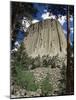 Devil's Tower, Devil's Tower National Monument, Wyoming, United States of America, North America-James Emmerson-Mounted Photographic Print