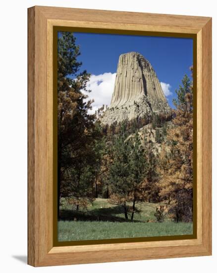 Devil's Tower, Devil's Tower National Monument, Wyoming, United States of America, North America-James Emmerson-Framed Premier Image Canvas