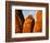 Devils Garden Sandstone Monuments-James Randklev-Framed Photographic Print