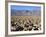 Devils Golf Course, Death Valley National Park, California, United States of America, North America-Richard Cummins-Framed Photographic Print