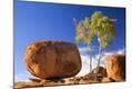 Photographic Print