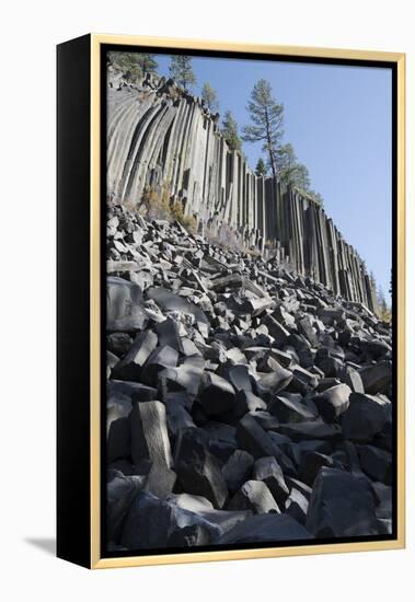 Devils Postpile, National Monument, Mammoth Mountain, Mammoth Lakes, California, USA-Gerry Reynolds-Framed Premier Image Canvas