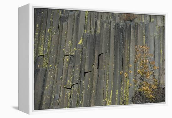 Devils Postpile, National Monument, Mammoth Mountain, Mammoth Lakes, California, USA-Gerry Reynolds-Framed Premier Image Canvas