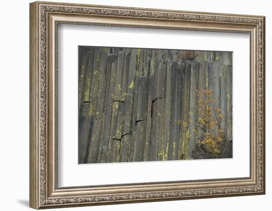 Devils Postpile, National Monument, Mammoth Mountain, Mammoth Lakes, California, USA-Gerry Reynolds-Framed Photographic Print