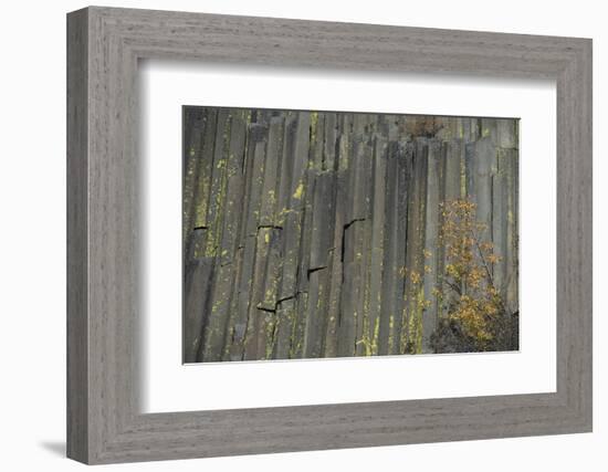 Devils Postpile, National Monument, Mammoth Mountain, Mammoth Lakes, California, USA-Gerry Reynolds-Framed Photographic Print